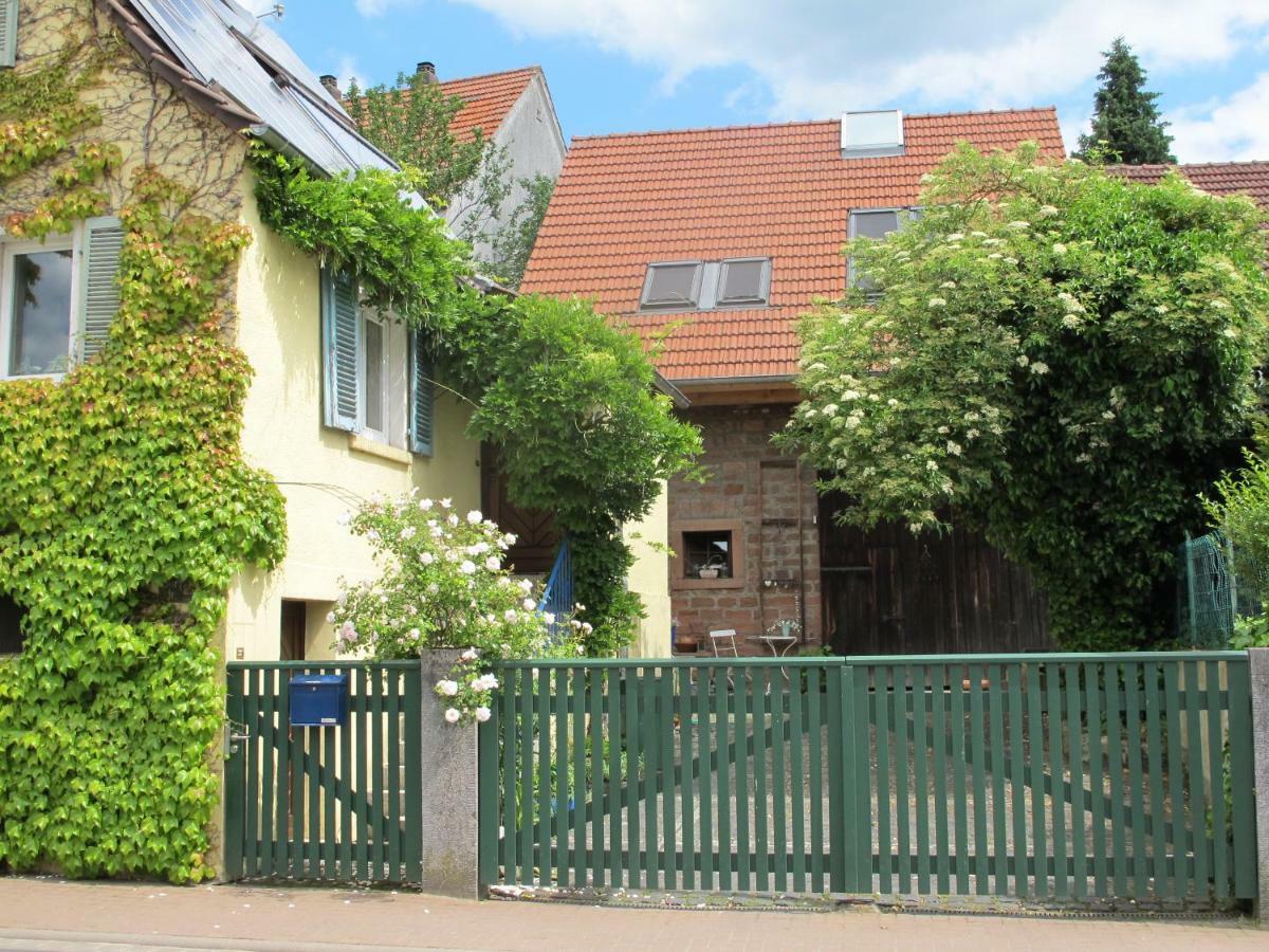 Ferienwohnung Spessart Strassbessenbach ภายนอก รูปภาพ